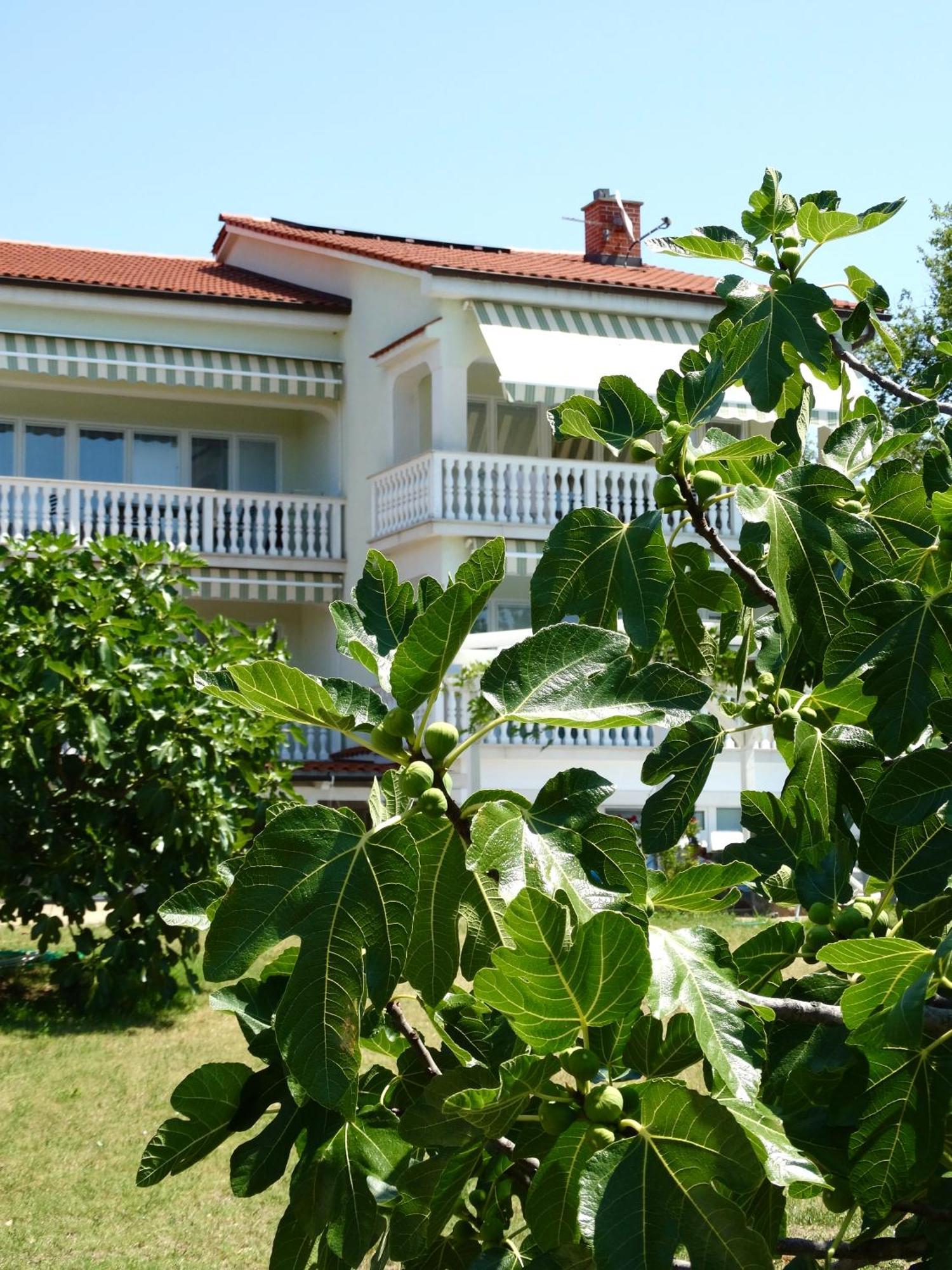 Apartments Gorancica Malinska Buitenkant foto